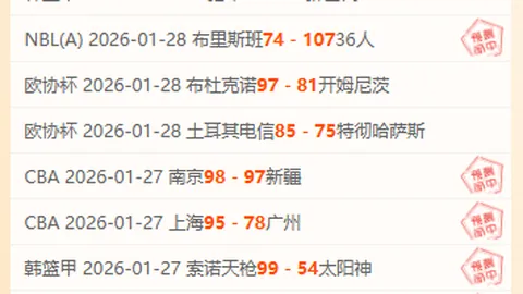 莱斯特队新帅范尼在望